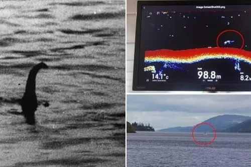 Cận cảnh 'quái vật' hồ Loch Ness rùng rợn nổi tiếng thế giới, thứ khiến người ta phải câm lặng