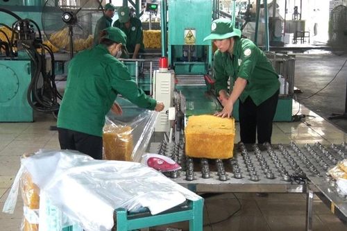 Công ty Cao su Chư Păh: Áp dụng quy trình sản xuất xanh để bảo vệ môi trường