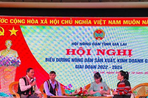 Nghe nông dân Jrai, Bahnar kể chuyện làm giàu