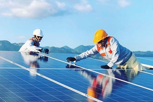Việc làm trong lĩnh vực năng lượng tái tạo tăng cao kỷ lục