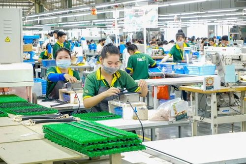 Năng suất xanh là chiến lược quan trọng để thúc đẩy phát triển bền vững