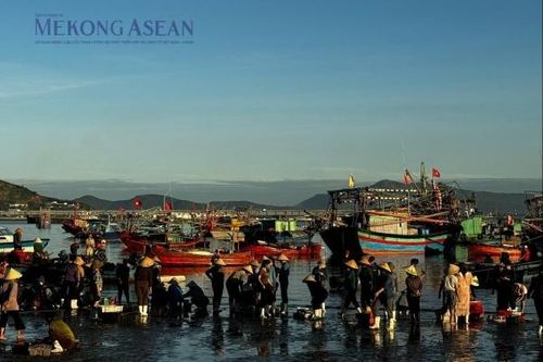 Nông, lâm, thủy sản tiếp tục tăng trưởng trong quý 3/2024