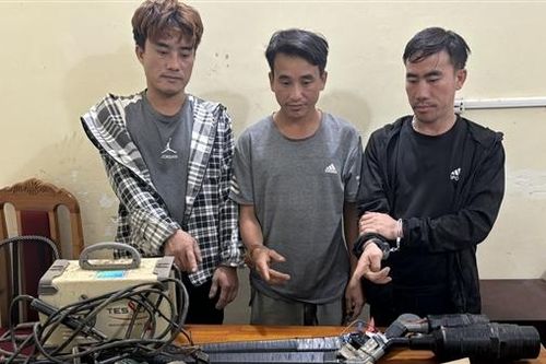 Tàng trữ thuốc phiện kiêm luôn sản xuất súng tự chế