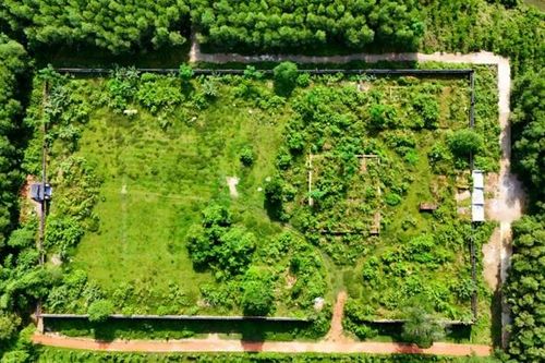 Di tích điện Thoại Thánh ra sao trước khi được trùng tu hàng chục tỷ đồng?