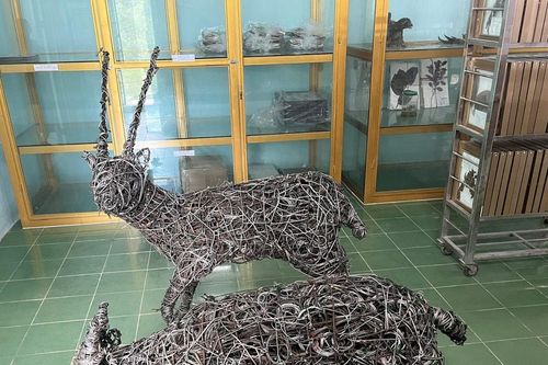 Thông điệp của 'Đôi Sao la' được làm từ gần 5.000 dây bẫy động vật