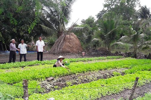 Tạo sinh kế bền vững ở vùng đồng bào dân tộc thiểu số