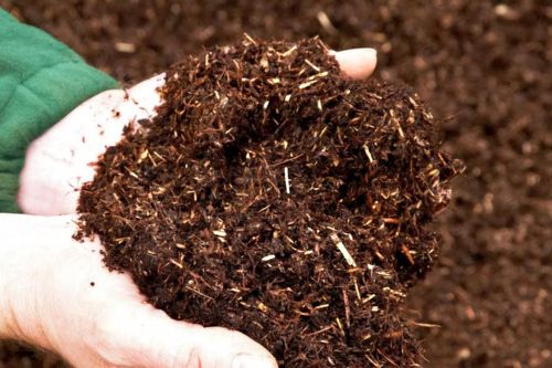 Gia tăng sử dụng phân bón hữu cơ: Giải tỏa những áp lực về ô nhiễm môi trường