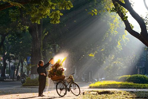 Tín sứ của mùa thu Hà Nội