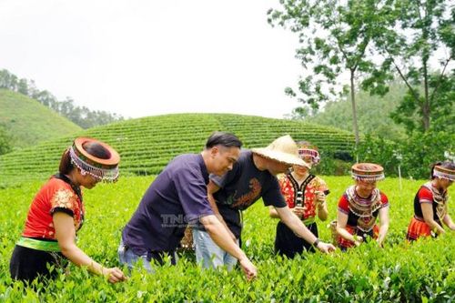 Đột phá trong bảo tồn văn hóa các dân tộc thiểu số gắn với phát triển du lịch ở Đồng Hỷ