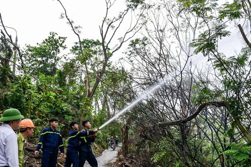 Cháy rừng sát di tích quốc gia đặc biệt, 300 người nỗ lực dập lửa thành công