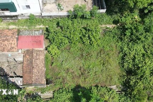 Sai phạm trong xác định nguồn gốc đất, thẩm định hồ sơ