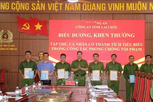 Khen thưởng lực lượng phá nhanh chuyên án ma túy và giết người