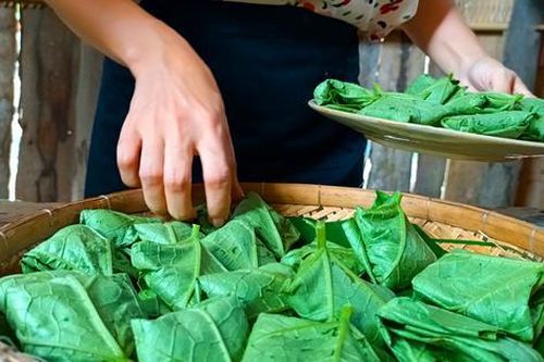 Đừng chỉ ăn quả, lá loại cây này quý như 'nhân sâm người nghèo' nhiều nơi mọc um tùm bờ rào
