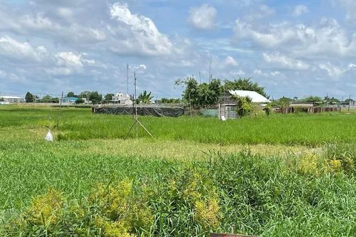 TPHCM: Trình hạn mức chuyển nhượng đất nông nghiệp cá nhân mới