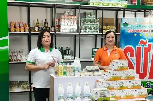 Hà Nội: Tăng cường chuyển đổi số cho các doanh nghiệp nữ làm chủ