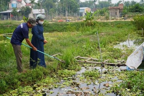 Đà Nẵng: 'Sức sống mới' từ những mô hình nông nghiệp trên đất nông nghiệp bỏ hoang