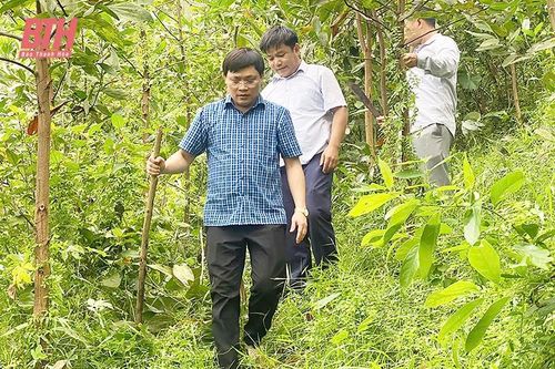 Điều động, luân chuyển cán bộ để 'luyện sắt - mài kim' (Bài 1): 'Thử lửa' ở cơ sở
