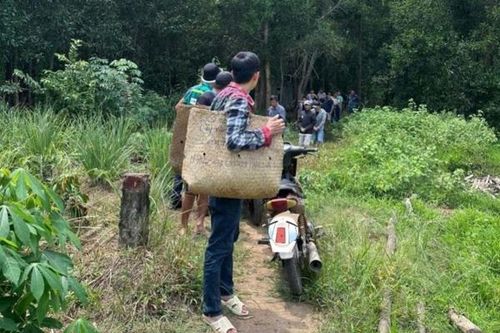 Bắt nhóm đá gà trong rẫy vắng ở Long Thành