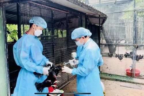 Bộ Nông nghiệp và phát triển nông thôn yêu cầu tạm đóng cửa Khu du lịch Vườn Xoài để phòng dịch