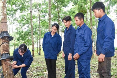 Hoàng Thị Niệm: Công nhân ưu tú của Binh đoàn 15