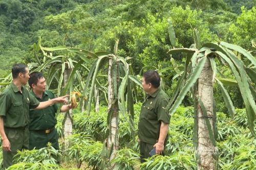 Lan tỏa sâu rộng phong trào 'Cựu chiến binh gương mẫu'