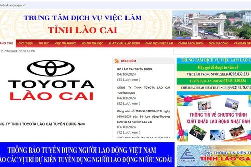 Lào Cai đẩy mạnh chuyển đổi số trong đào tạo lao động nông thôn