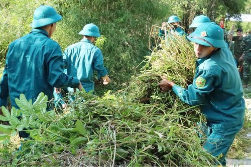 Gắn 'Dân vận khéo' với 'Ngày Chủ nhật xanh'