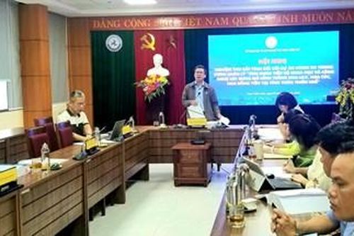 Trồng hoa lily, hoa cúc, hoa đồng tiền từ ứng dụng công nghệ cao