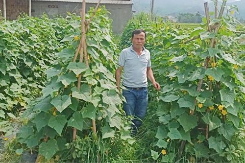 Nêu gương trong phát triển kinh tế