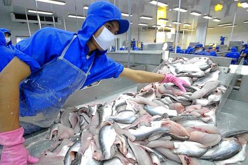 Thị trường Mỹ bứt phá, lãi ròng năm nay của Thủy sản Vĩnh Hoàn (VHC) có thể tăng 30%