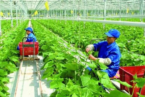 Huy động nguồn lực thúc đẩy phát triển kinh tế tuần hoàn