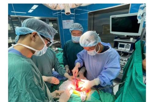 Nữ bệnh nhân 23 tuổi ung thư thận giai đoạn cuối phục hồi khỏe mạnh nhờ pháp đồ điều trị của Bệnh viện Bạch Mai