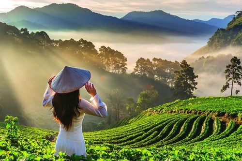 Khách quốc tế đến Việt Nam đạt hơn 12,7 triệu