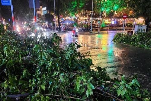 Mưa lớn kéo dài, cây xanh bật gốc đè 4 người bị thương