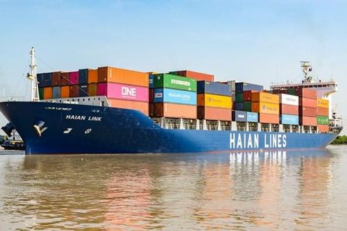 Doanh nghiệp có đội tàu container Top 100 thế giới đang kinh doanh như thế nào?