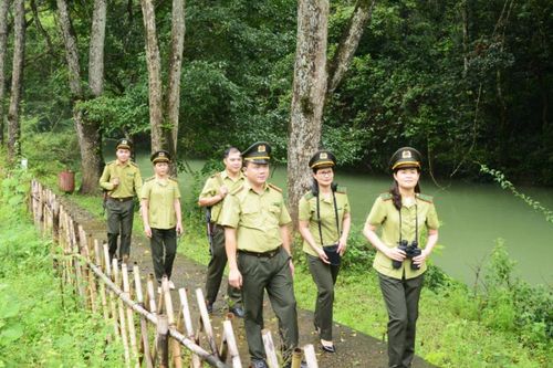 Tăng cường quản lý, bảo vệ và phát triển rừng bền bững