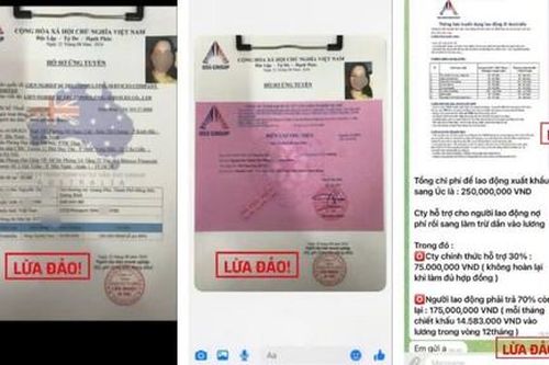 Từ vụ Công ty DSS bị vu khống đến những kinh nghiệm du học và định cư