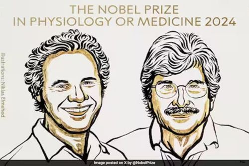 Hai nhà khoa học khám phá ra microRNA đạt giải Nobel Y Sinh năm 2024