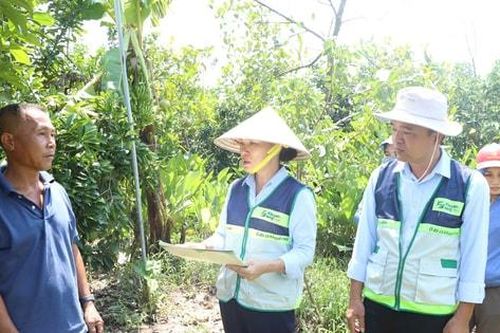 Hỗ trợ tái sản xuất nông nghiệp sau thiên tai: Thúc đẩy tăng trưởng kinh tế