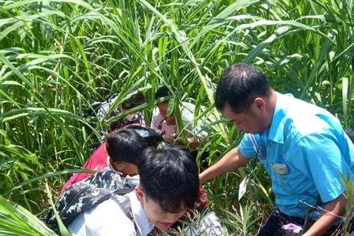 Nhân viên xe buýt Transerco kịp thời hỗ trợ học sinh bị tai nạn xe máy