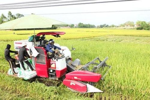 Luồng gió mới cho vùng quê cách mạng Ứng Hòa