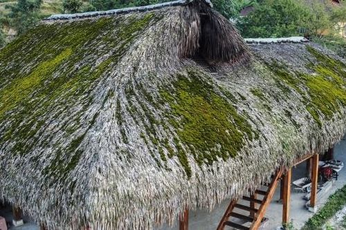 Vẻ đẹp nguyên sơ của những mái nhà rêu xanh giữa lưng chừng núi Tây Côn Lĩnh