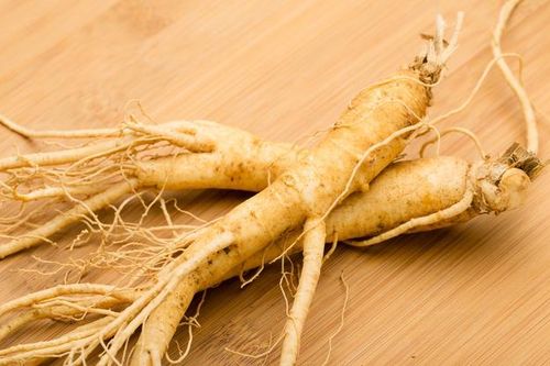 5 vị thuốc nổi bật làm tăng sức đề kháng trong mùa thu