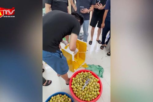 Phát hiện 04 bánh heroin 'ngụy trang' trong thùng táo mèo