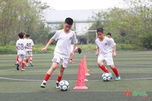 Nỗ lực thích nghi điều kiện mới