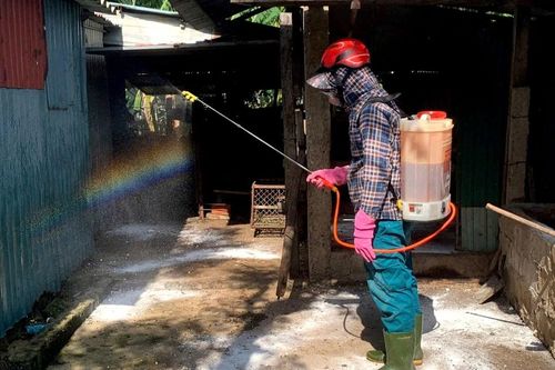 Hà Tĩnh: Thêm địa phương xuất hiện dịch lở mồm long móng