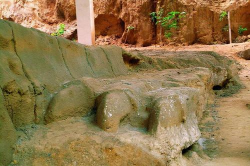 Cuốc trúng 'con rồng' dài 400m, chuyên gia lập tức phong tỏa hiện trường