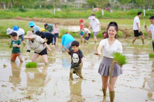 Thất nghiệp liên miên, genZ Trung Quốc về quê nghỉ hưu, chữa lành