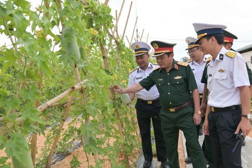 Vùng 4 Hải quân: Hiệu quả tăng gia sản xuất từ dự án QN-21