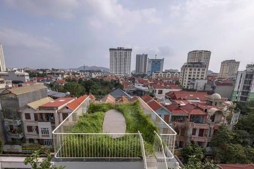 Nhà ống hướng Tây luôn mát mẻ nhờ thiết kế khu vườn trên mái